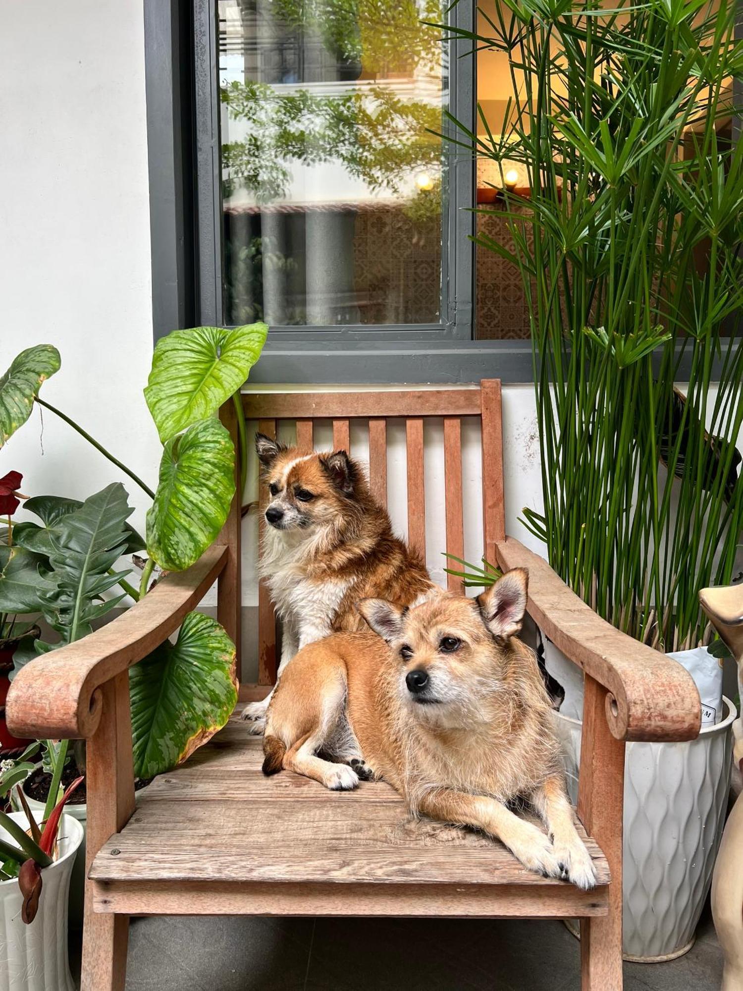 Da Lat Lemongrass - Da Lat Sa Apartment Exterior photo